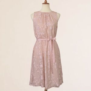 Sunday In Brooklyn Anthropologie Blush Color Lined Sheer Embroidered Dress
